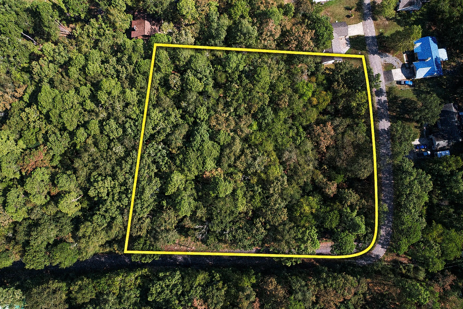 Straight-down aerial view of a wooded parcel with an approximate yellow property boundary overlay