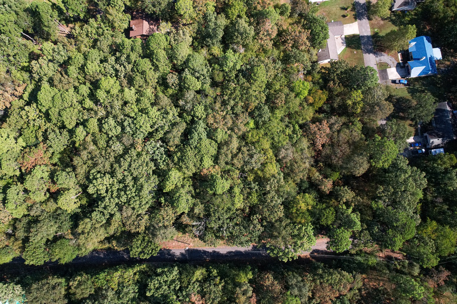 Clean overhead aerial photograph of a wooded property
